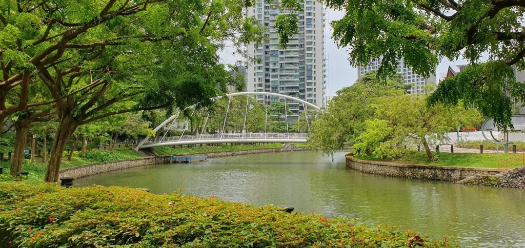 Lush green space at Kim Seng Linear Park, perfect for outdoor activities
