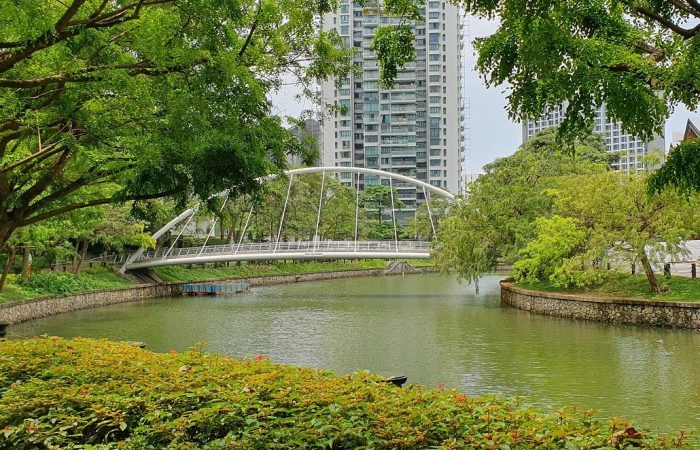 Lush green space at Kim Seng Linear Park, perfect for outdoor activities